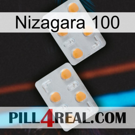 Nizagara 100 25